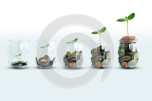 Money growing concept with green plant growing progressive from glass jar with coinsÂ 
